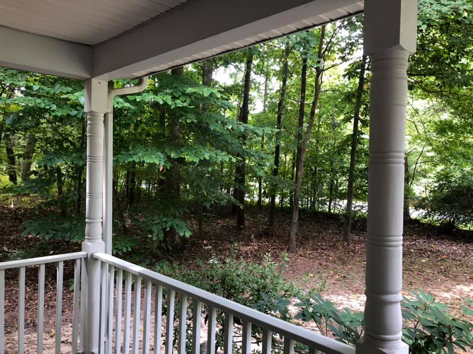 Beautifully updated porch columns frame a stand of young trees